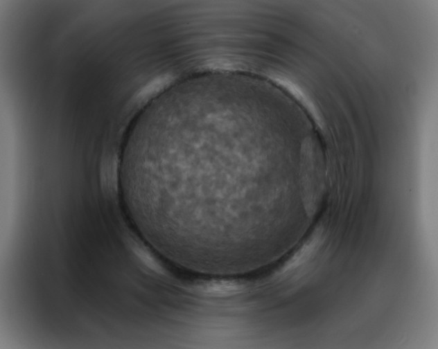 X0000088200445200705221726