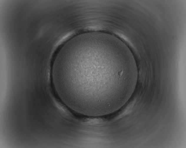 X0000088200446200705221726