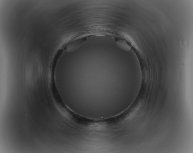 X0000088200447200705221726