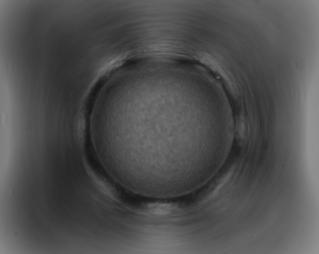 X0000088200448200705221726