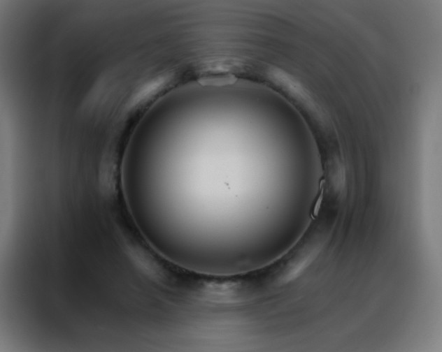 X0000088200450200705221726
