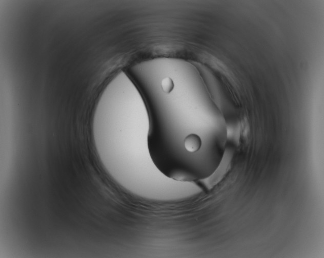 X0000088200452200705221726