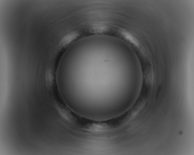 X0000088200455200705221726