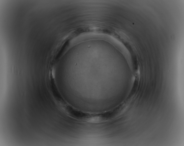 X0000088200456200705221726