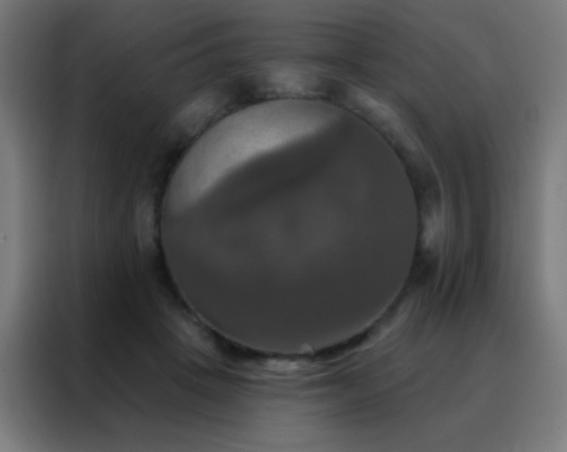 X0000088200457200705221726