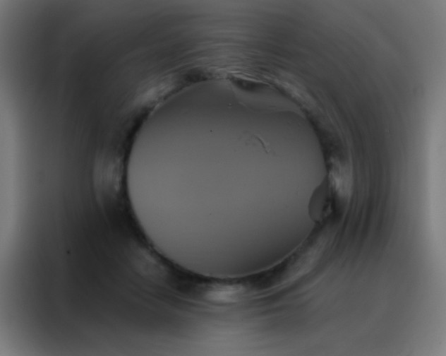 X0000088200458200705221726