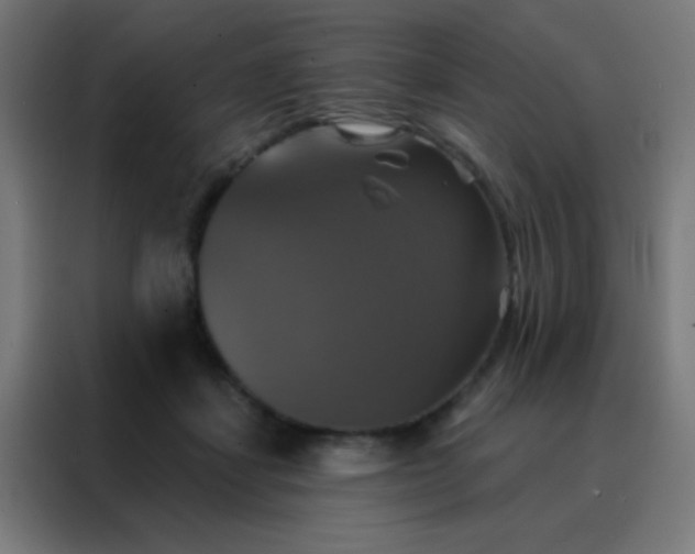 X0000088200459200705221726