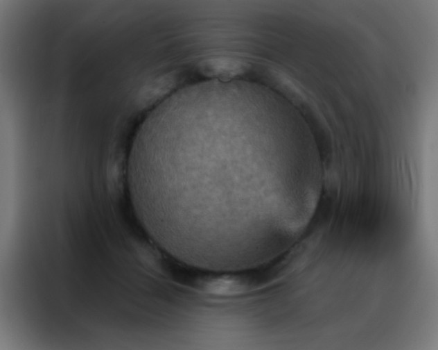 X0000088200460200705221726