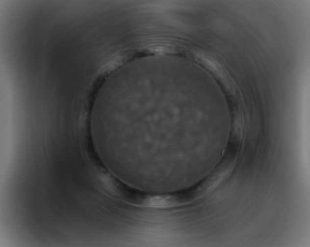 X0000088200461200705221726