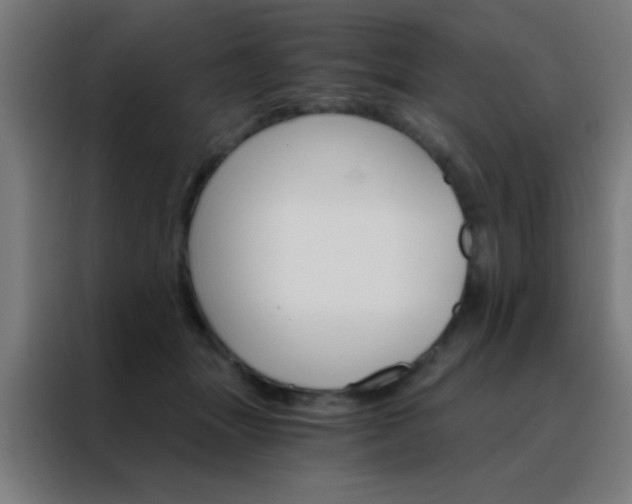 X0000088200463200705221726