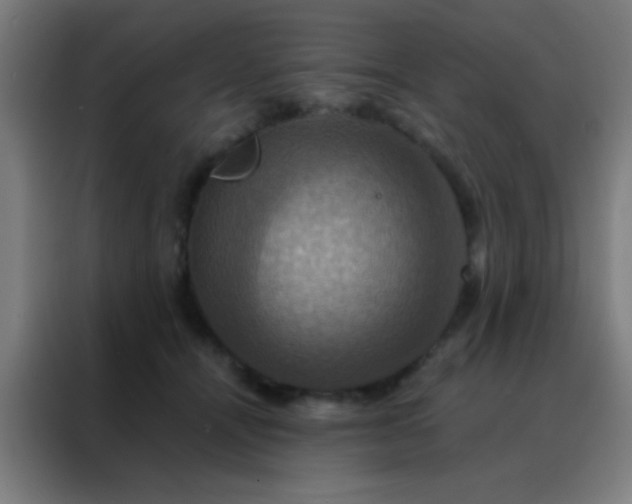 X0000088200464200705221726
