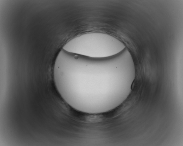 X0000088200465200705221726