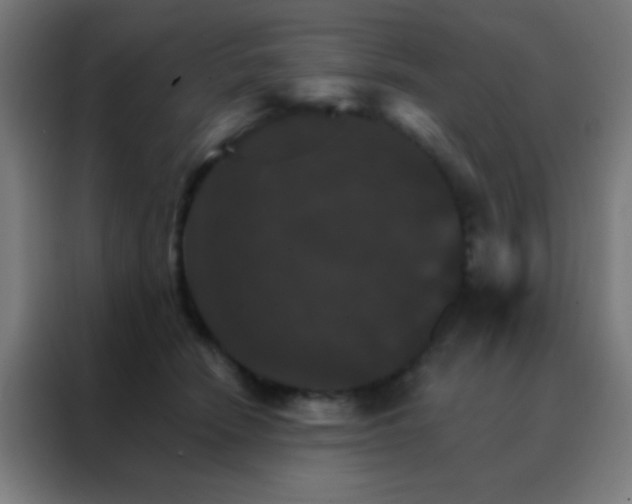 X0000088200466200705221726