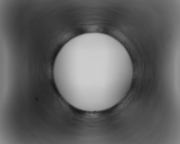 X0000088200469200705221726