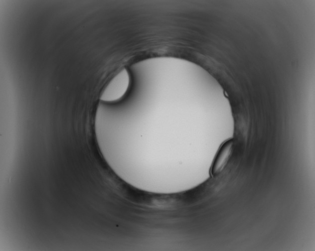 X0000088200470200705221726