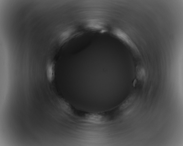 X0000088200471200705221726
