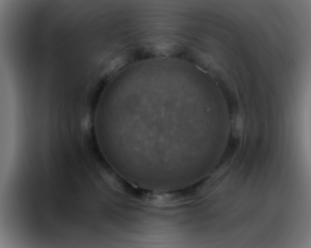 X0000088200472200705221726