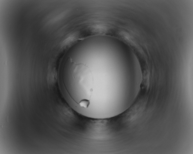 X0000088200474200705221726