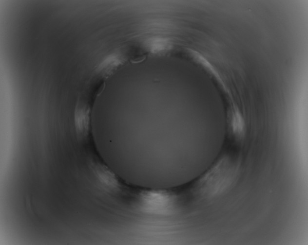 X0000088200475200705221726