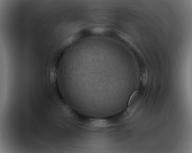X0000088200476200705221726