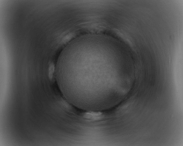 X0000088200480200705221726