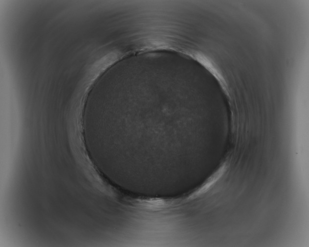 X0000088200481200705221726