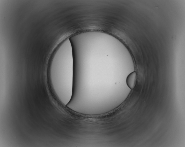 X0000088200482200705221726