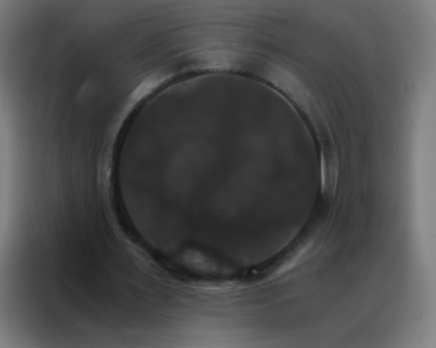 X0000088200483200705221726