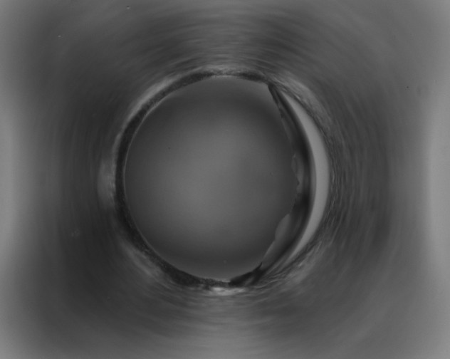X0000088200484200705221726