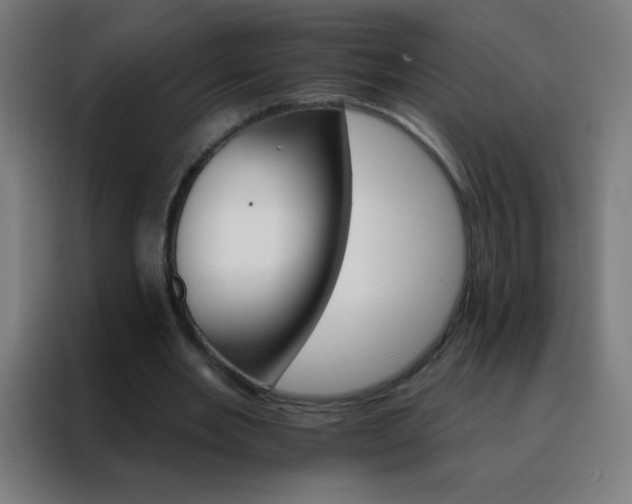 X0000088200485200705221726