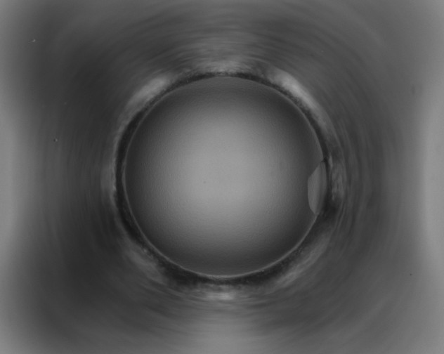 X0000088200486200705221726