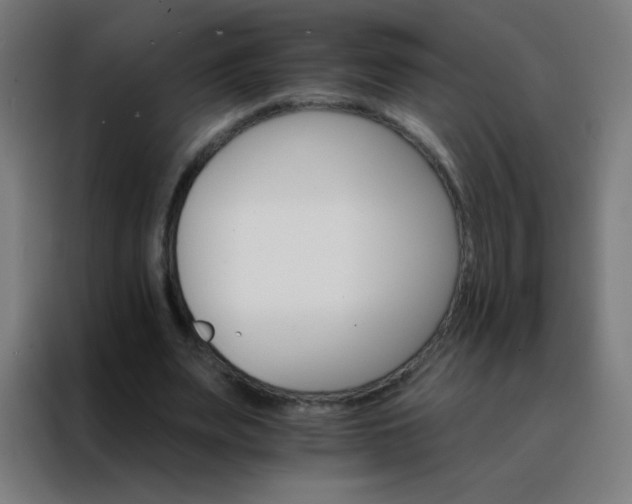 X0000088200487200705221726