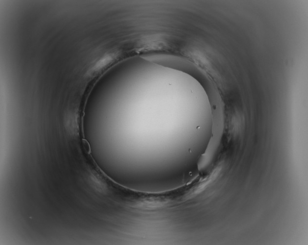 X0000088200489200705221726