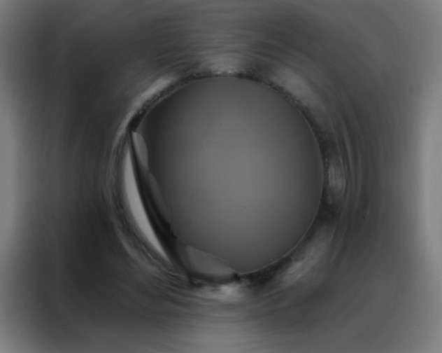 X0000088200492200705221726