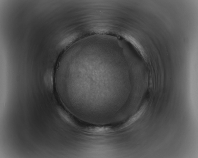 X0000088200493200705221726