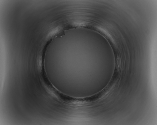 X0000088200494200705221726