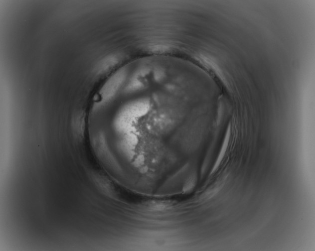 X0000088200495200705221726