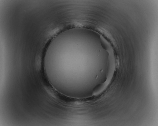 X0000088200496200705221726