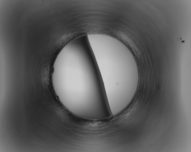X0000088200497200705221726