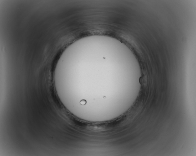 X0000088200498200705221726