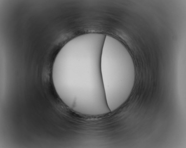 X0000088200499200705221726