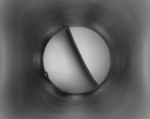 X0000088200501200705221726