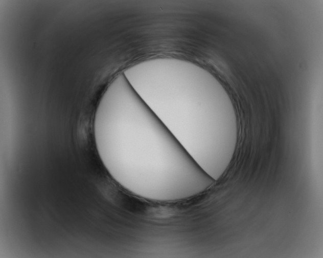 X0000088200503200705221725