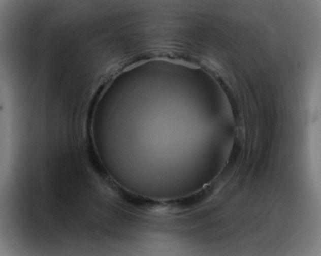 X0000088200504200705221725