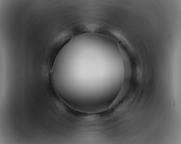 X0000088200505200705221725