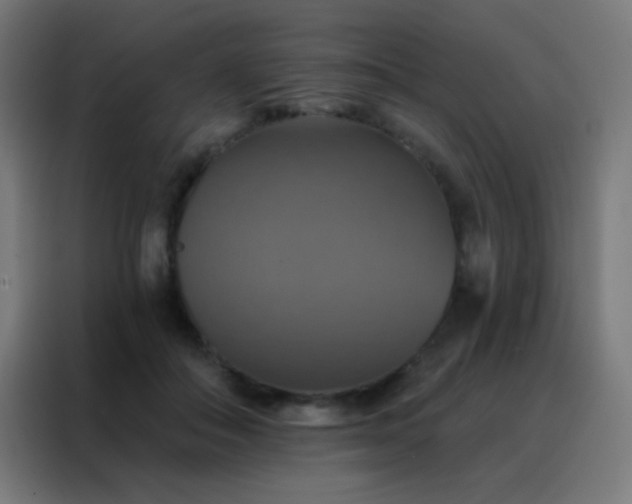 X0000088200506200705221725