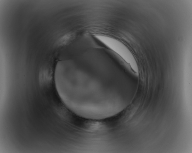 X0000088200507200705221725