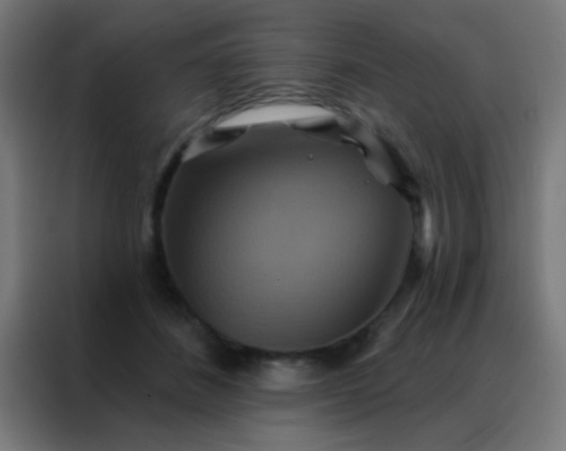 X0000088200508200705221725