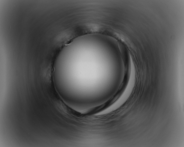 X0000088200509200705221725