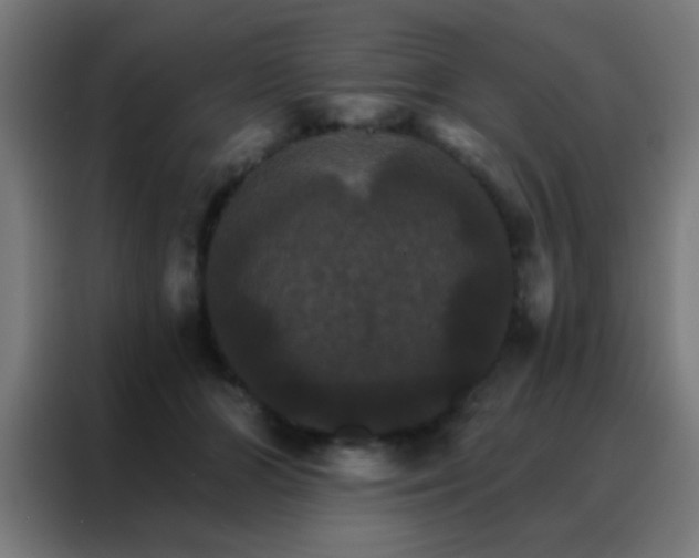 X0000088200510200705221725